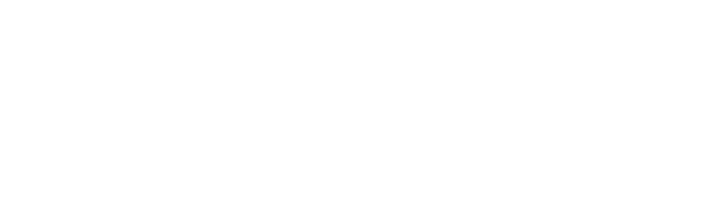 logo empleo blanc