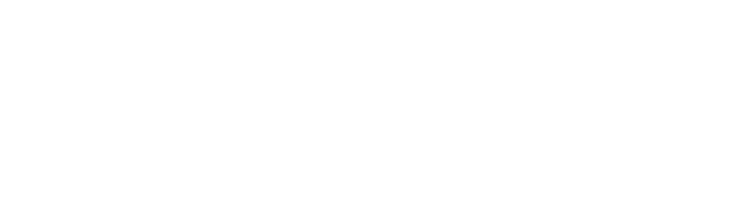 logo empleo blanc